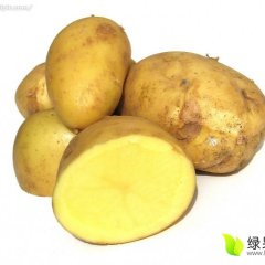 惠民土豆俏销大江南北