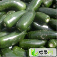 凌海辣椒火爆招商中,东花李志强诚信合作