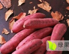 凌海新庄商薯19红薯营养丰富