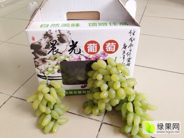 2015年山东昌邑维多利亚价格