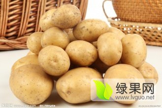 陕西定边早大白土豆上货量大