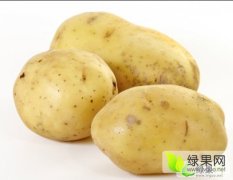 宁夏 甘肃“克新一号”土豆供应