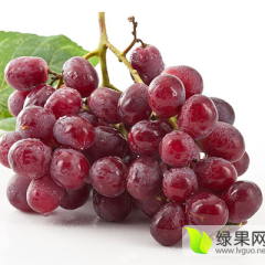 陕西临渭红提葡萄名优产品