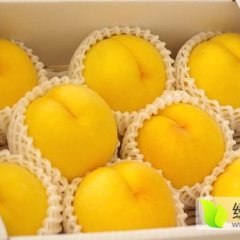 蒙阴蜜桃富岛桃王贾庄高一诚信合作