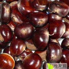 山东蒙阴板栗营养丰富