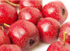 绛县卫庄大金星山楂果实鲜嫩