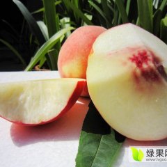 甘肃秦安蜜桃色泽鲜艳，口感清香