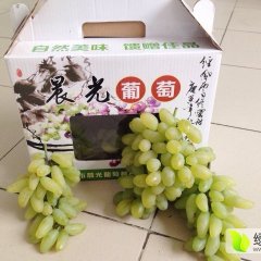 2015昌邑葡萄值得出手