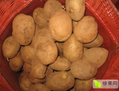 宣署2号土豆 ，1.5元每公斤
