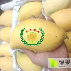瑞丽芒果口感爽口,瑞丽太平诚信合作