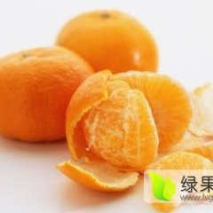 2015湖南澧县复兴厂蜜桔柑橘销售