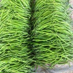 2015兰山辣椒畅销大江南北