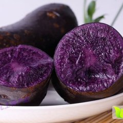2015 新鲜黑金刚土豆黑土豆紫土豆 产地 直销