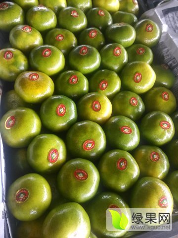 2015年湖北枝江宜昌蜜桔价格