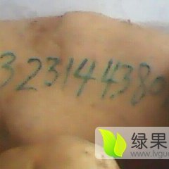 河北围场克新一号土豆营养丰富