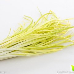 安丘峡山蒜黄诚信经营  无土栽培的蒜黄