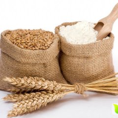 2015鹿邑小麦走过路过不要错过