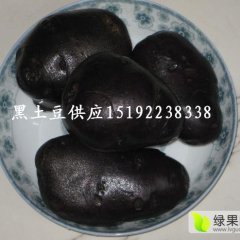 山东莱阳黑土豆大量上市