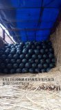河南扶沟黑皮无籽西瓜已上市王东先生期待与你合作