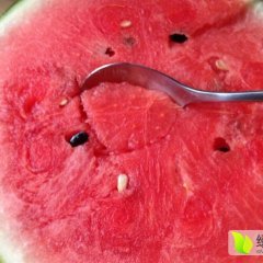 宁县的西瓜熟啦 绿皮双红瓤，口感甜爽