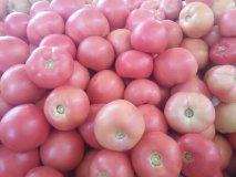 东昌府西红柿是名优特产,诚信合作