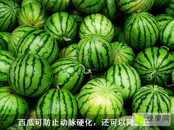 地雷瓜价格