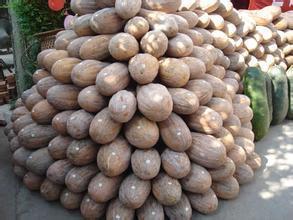 湖南君山金韩密本南瓜价格行情平稳