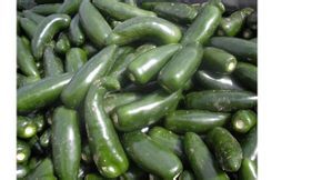 辽宁凌海港椒辣椒著名品牌