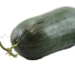 中牟子弹头黑皮冬瓜便宜订购