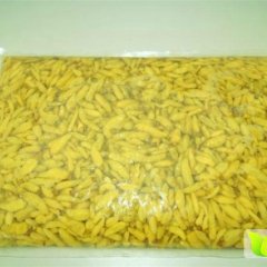 江西上高县新一代朝天椒大量采购