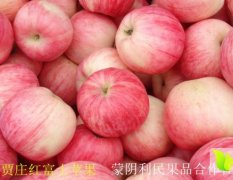 蒙阴贾庄红富士苹果颜色鲜艳，清脆香甜