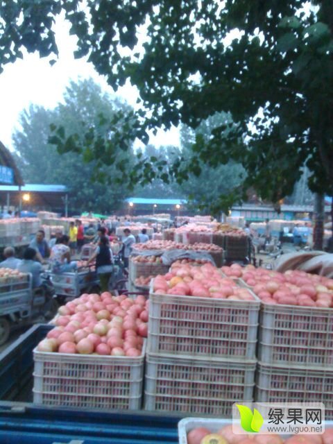 2015年山东东昌府宝石捷价格