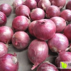 《梅里斯信誉货栈》诚信与您合作