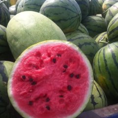 佳木斯地雷瓜西瓜薄皮 小籽 口感特甜