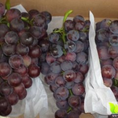 葡萄，户太八号，12克起步，每斤2.30元！