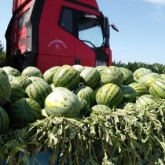 保康 乾安 松原长岭陆地二模陆续开始