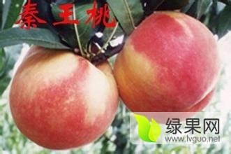 陕西秦王桃毛桃产地毛桃价格
