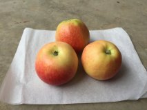 运城嗄啦65起40%红度