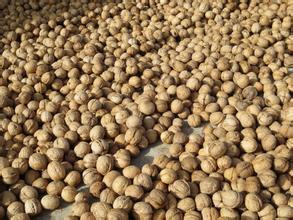 2015乌什核桃走过路过不要错过