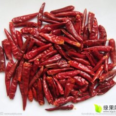 供应：金乡干辣椒-大量出售中-便宜质量好