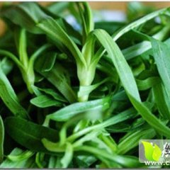 东昌府面条菜口感爽口,闫寺肖先生诚信合作