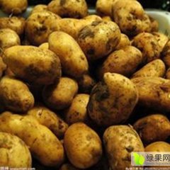 内蒙古牙克石土豆火热上市乌奴李军诚信合作