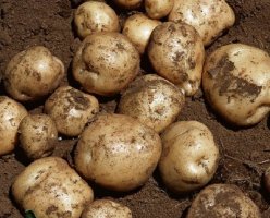 吉林省扶余市宗彦民期待与您共赢