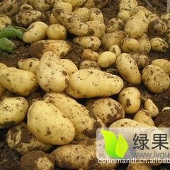2015牙克石土豆值得出手