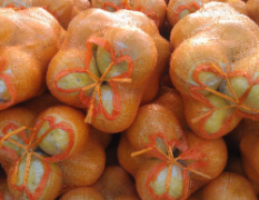 广东江门市场蜜柚柚子代销