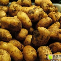 内蒙古牙克石土豆价格行情平稳免渡李军诚信合