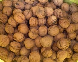 澄城核桃名优产品赵庄镇王先生诚信合作