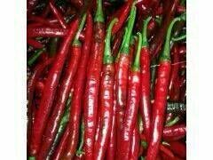 2015忻府辣椒价格波动不大