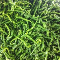 昌乐北岩陇椒辣椒价格适宜