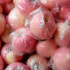 陕西大荔红富士苹果果面光滑、蜡质多、果粉少